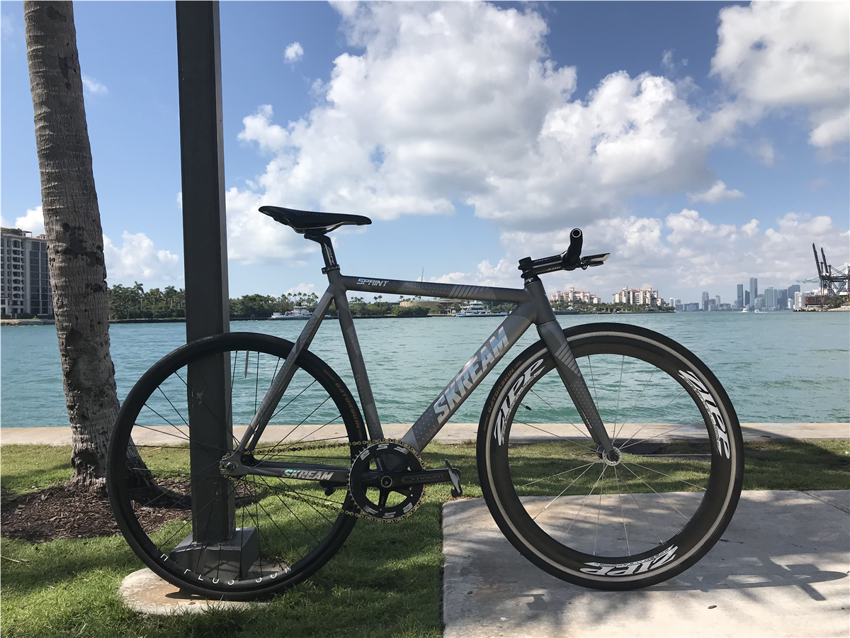 Skream, a fixed gear bike